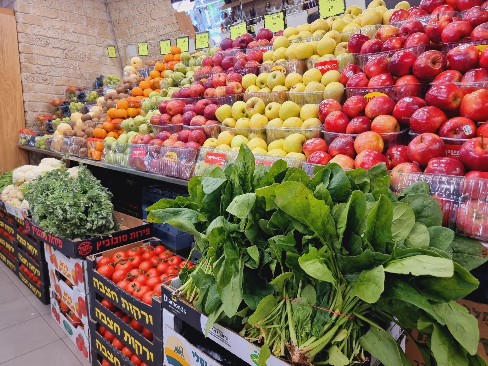 WhatsApp Image 2022-03-29 at 1.24.59 PM.jpeg